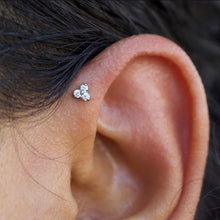 Load image into Gallery viewer, Piercing Appointment