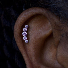 Load image into Gallery viewer, Piercing Appointment