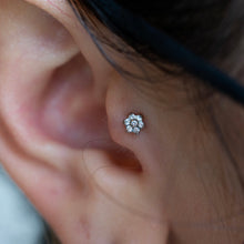 Load image into Gallery viewer, Piercing Appointment