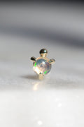 Pippa Dot Pin End