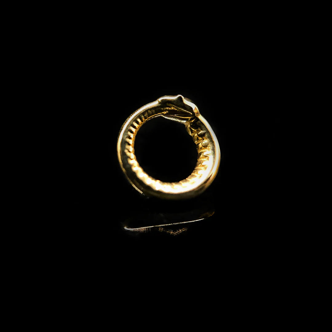 AuRoboros Pin End