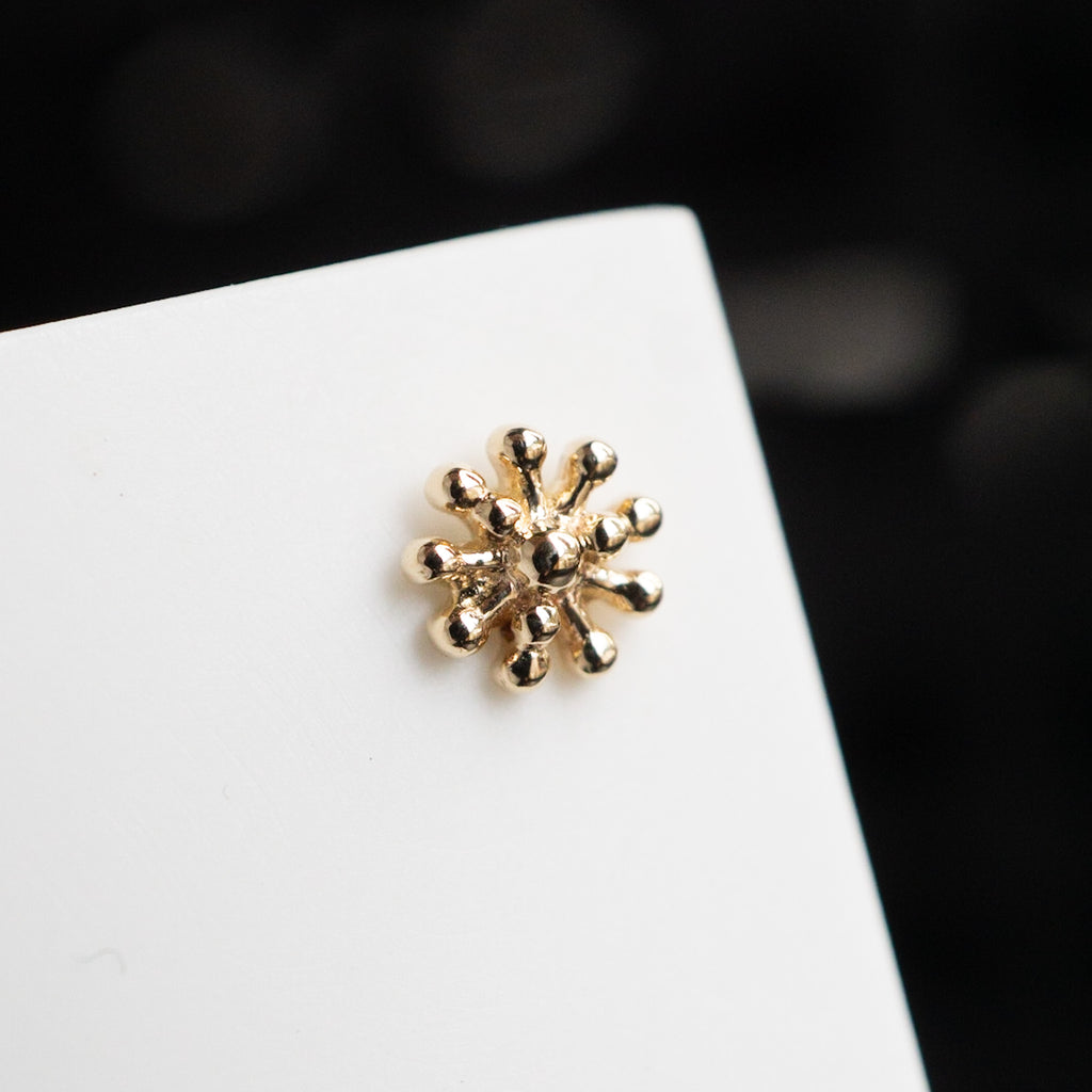 Dala Stud 1