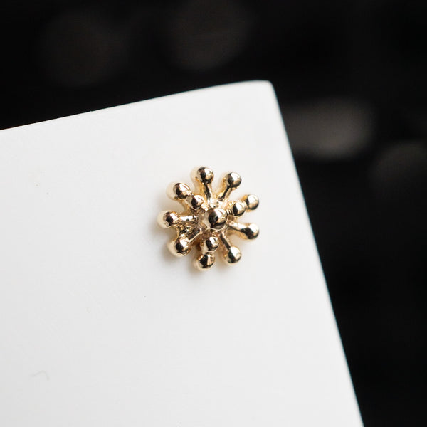Dala Stud 1