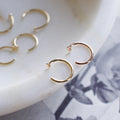 Gold Nostril Nail with Disk