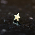 Gold Star Threaded End