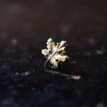 Maple Leaf Threaded End