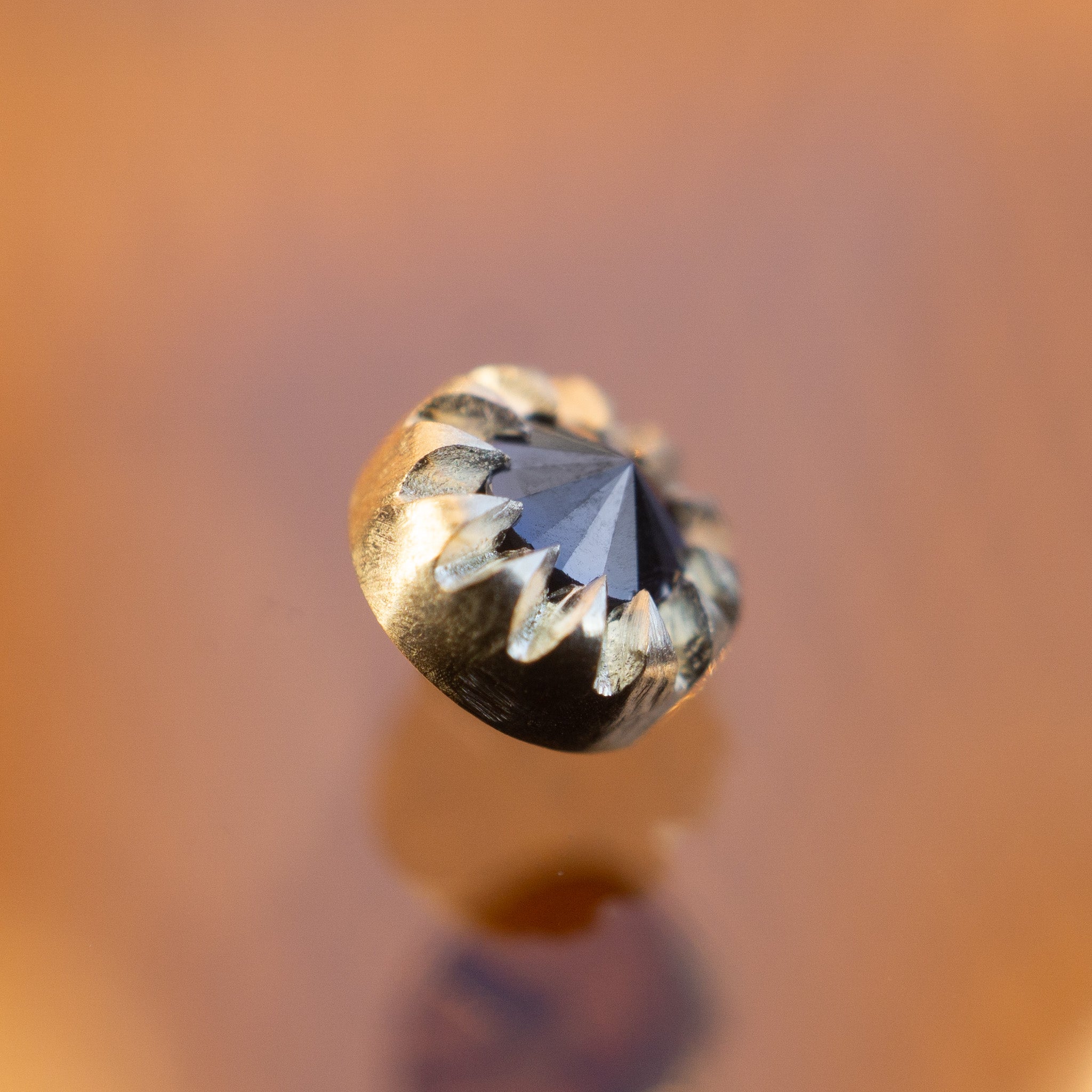Baby Peristome Threaded End