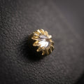 Baby Peristome Threaded End