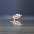 Beaded Marquise Diamond Threaded End